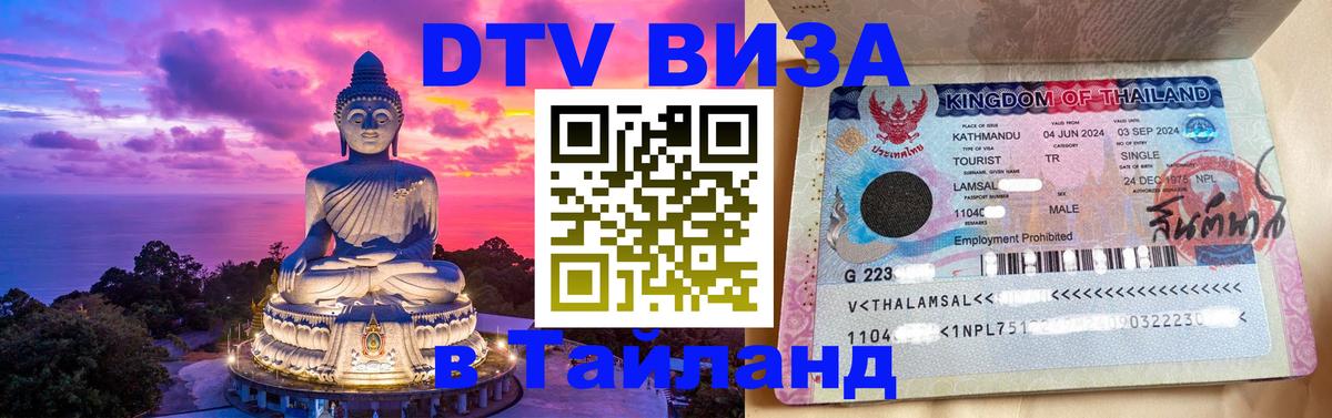 Сколько стоит DTV виза — актуальные цены, оформление даже без документов - Рубцовск  04.10.2025 